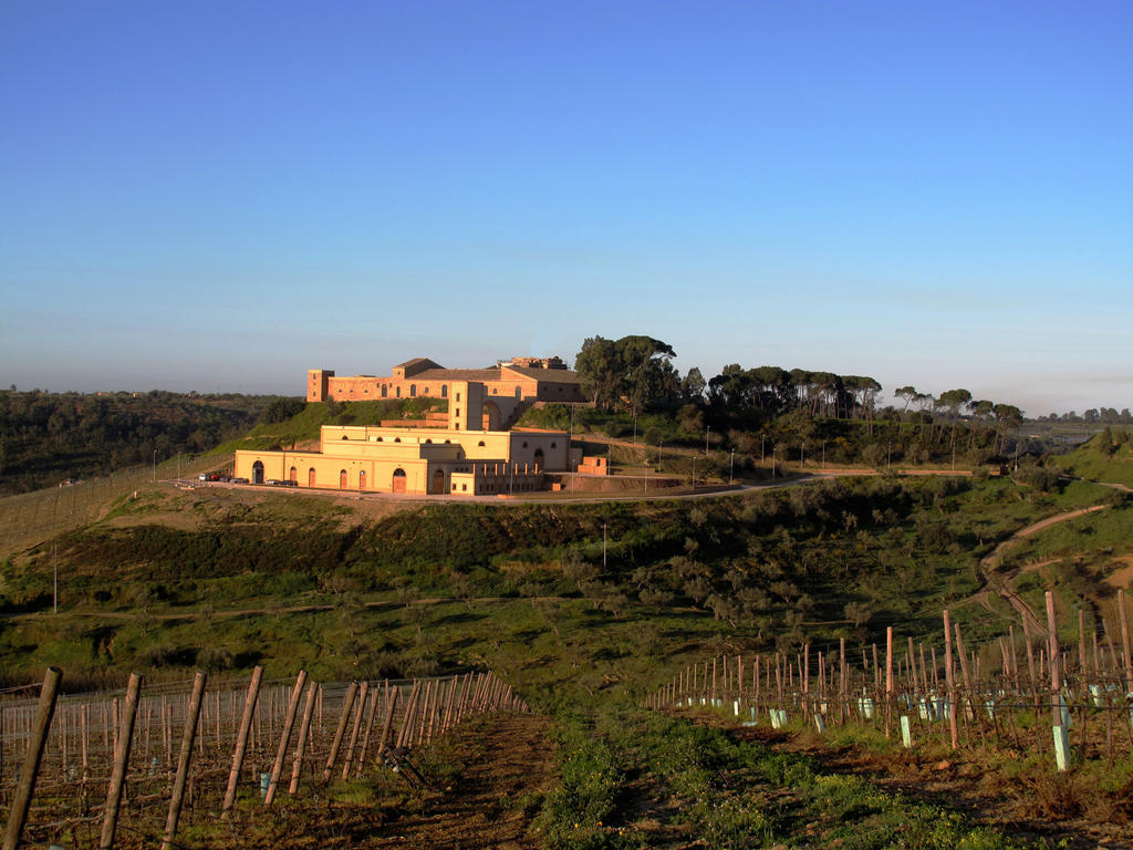 Wine Relais Feudi Del Pisciotto Villa Niscemi Екстериор снимка